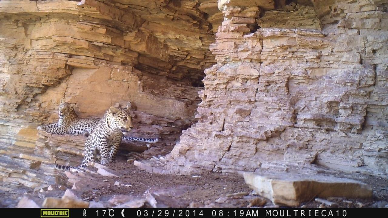 Tsauchab River Camp سيسريم المظهر الخارجي الصورة