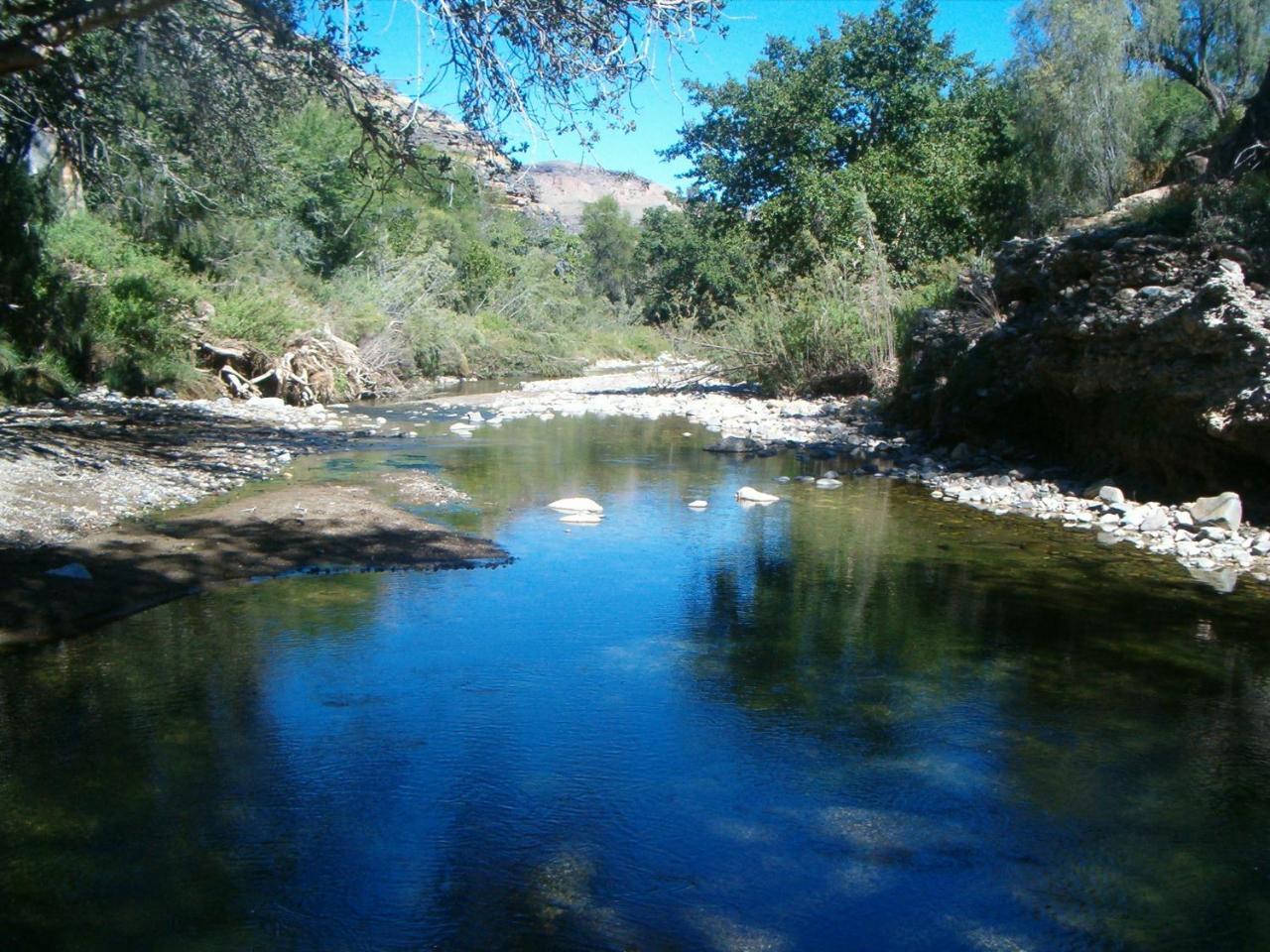 Tsauchab River Camp سيسريم المظهر الخارجي الصورة